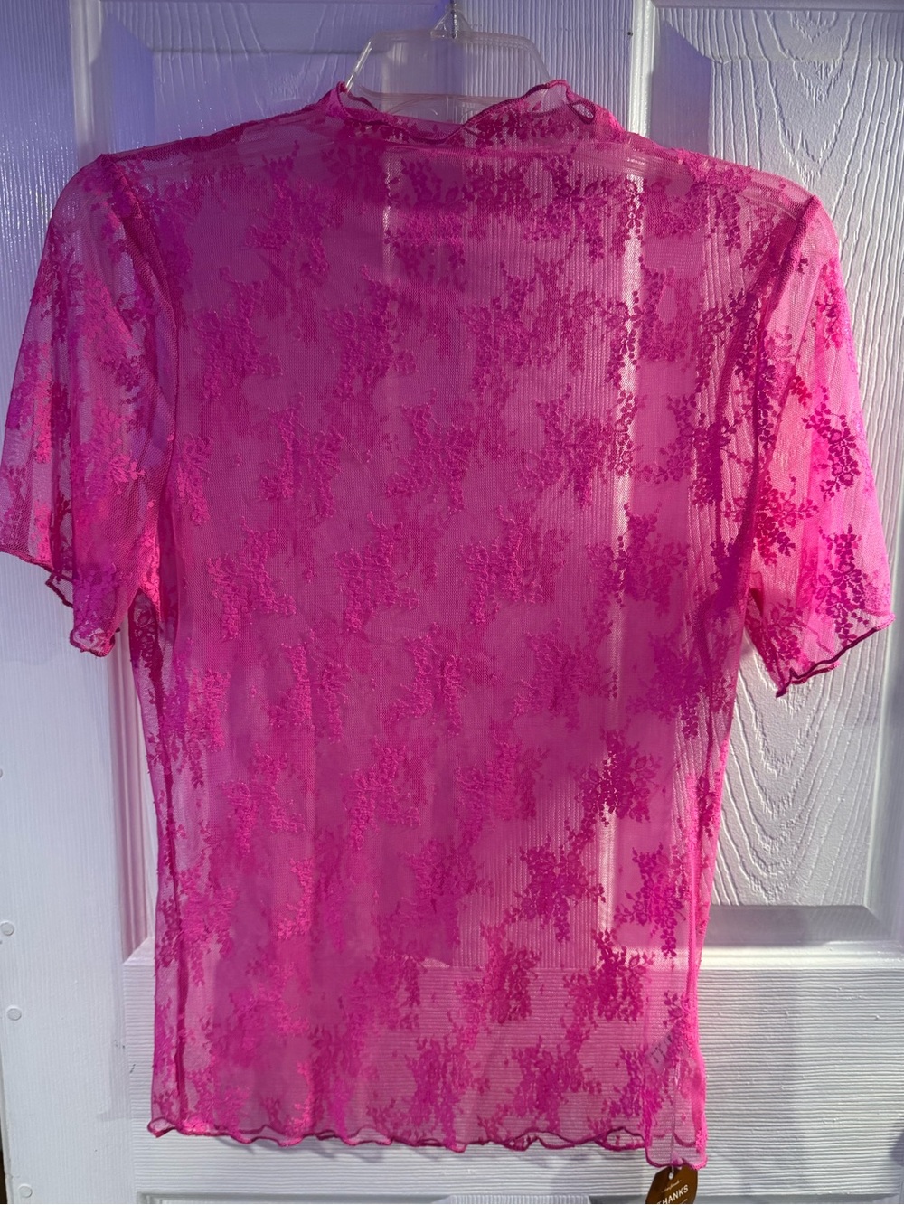 Reoria Sheer Floral Lace Short-Sleeve Top in Hot Pink